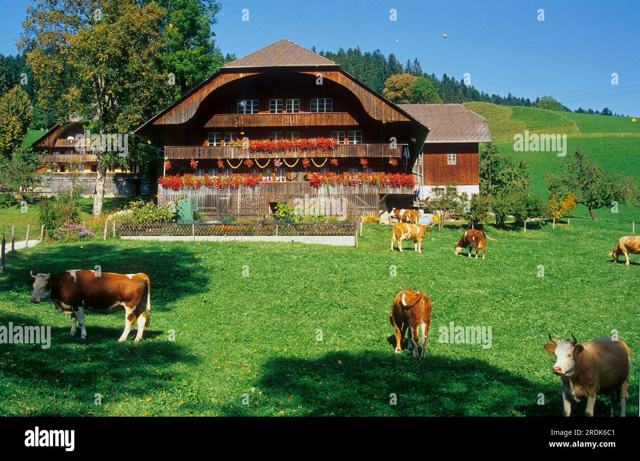 Large wooden house near Schallenberg, Switzerland Stock Photo