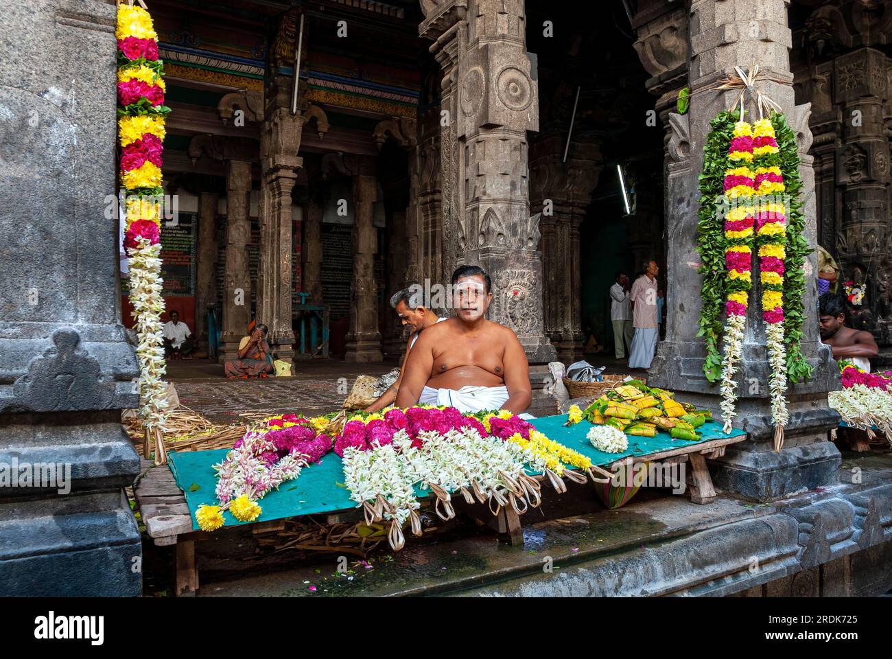 Coimbatore flower hires stock photography and images Alamy