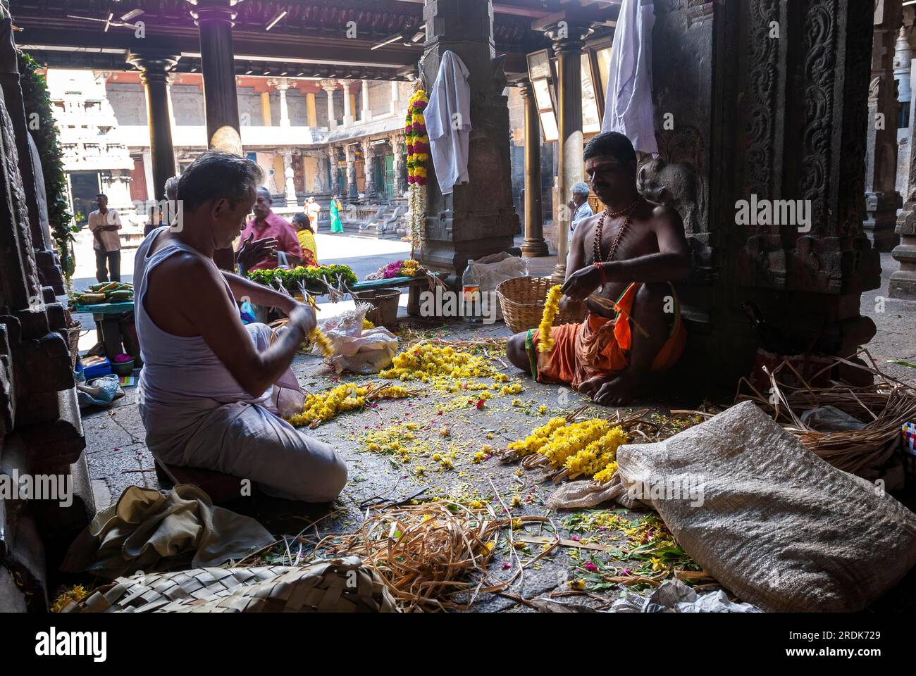 Coimbatore flower hires stock photography and images Alamy