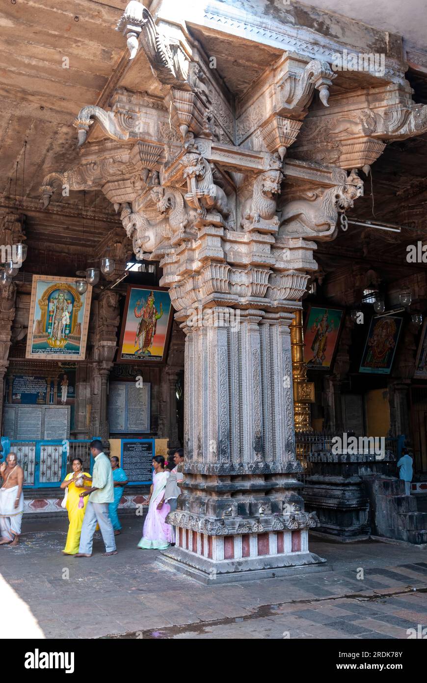 Giant pillar in the second prakara corridor in Thillai Nataraja temple, Chidambaram, Tamil Nadu, South India, India, Asia Stock Photo