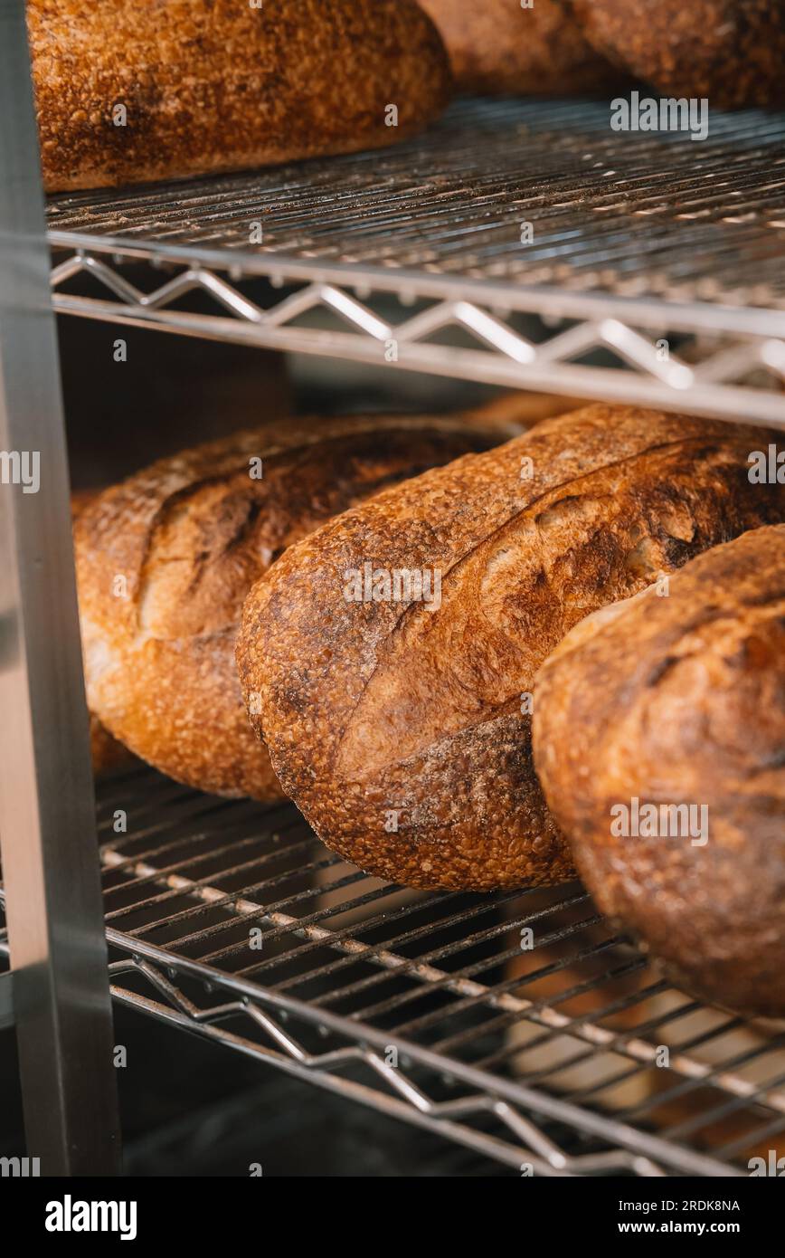 The oven contains ovenfresh bread Stock Photo Alamy