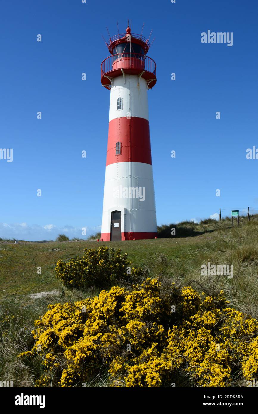 Lighthouse List Ost, List, Ellebogen, Sylt, Frisian Islands, North Sea, Germany Stock Photo