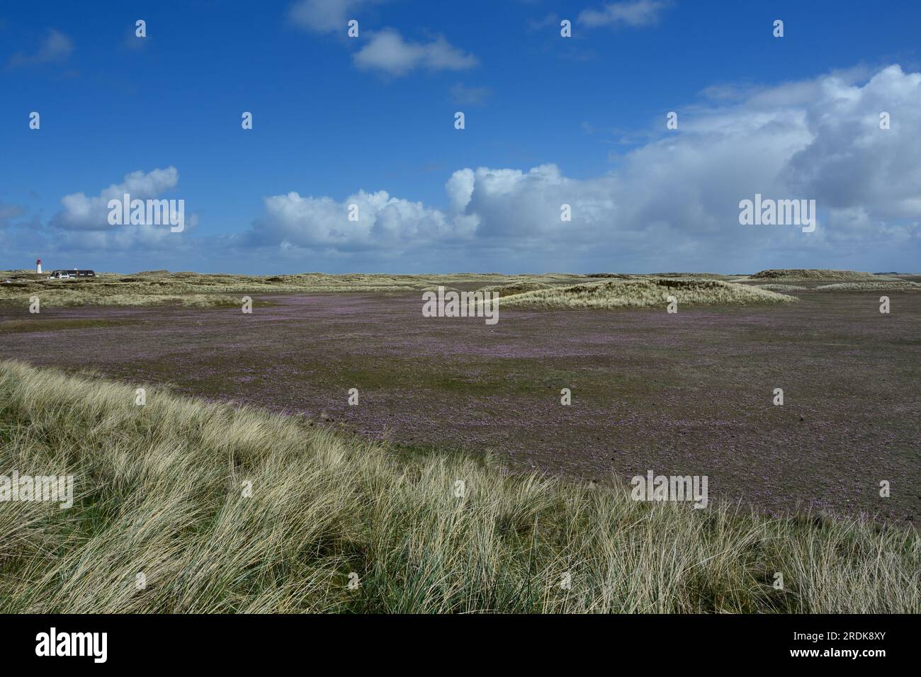 Ellenbogen peninsula, List, Sylt, Frisian Islands, Wadden Sea, Germany Stock Photo