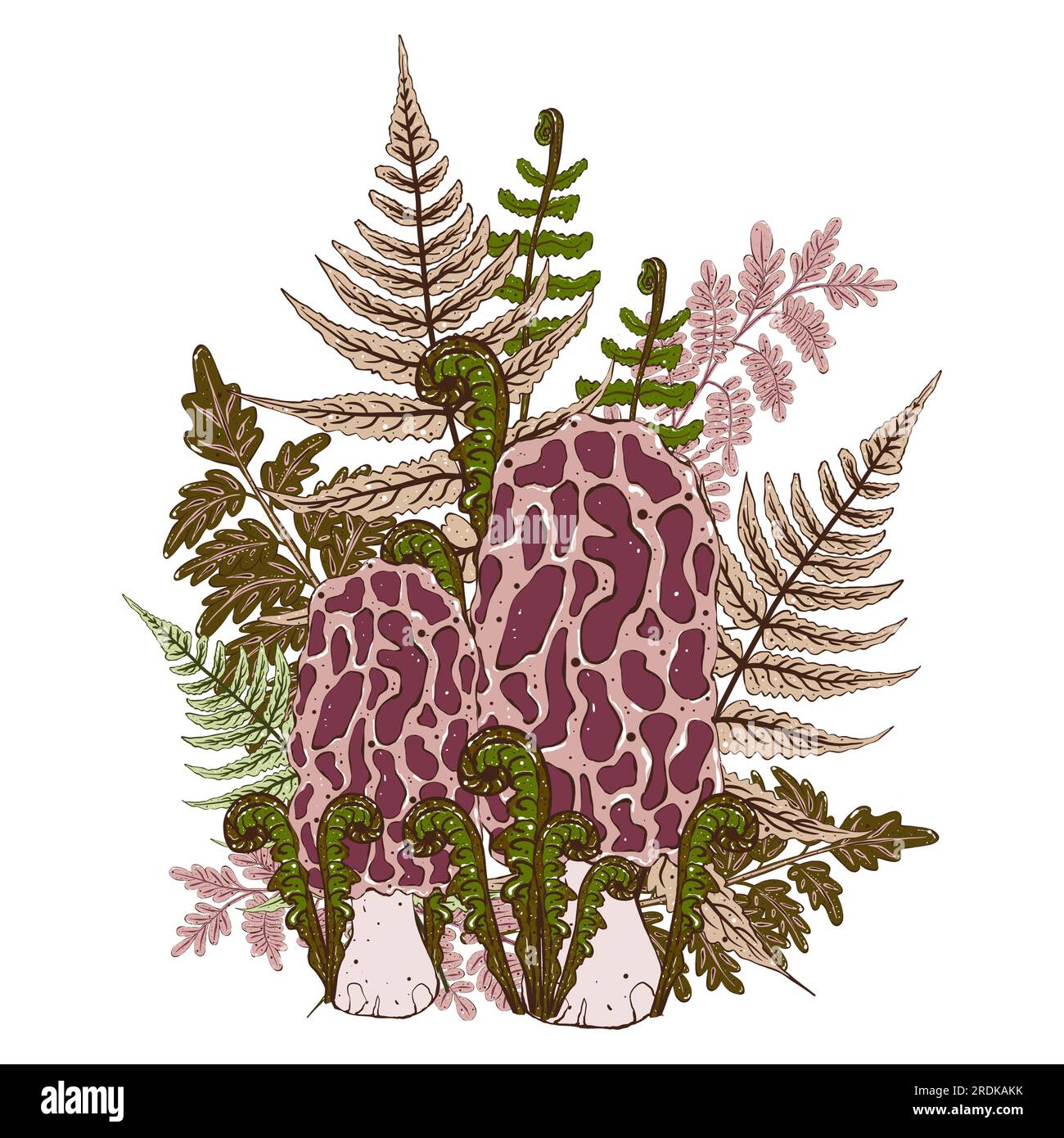 Composition of poisonous mushrooms and fern leaves. Mystical illustration in cartoon style Stock Photo