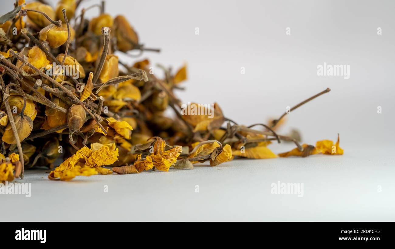 Ayurvedic Wonders: Senna auriculata and Ranawara (Cassia auriculata) Stock Photo