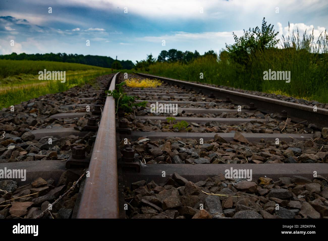 Low angle view of abandoned railroad tracks Stock Photo