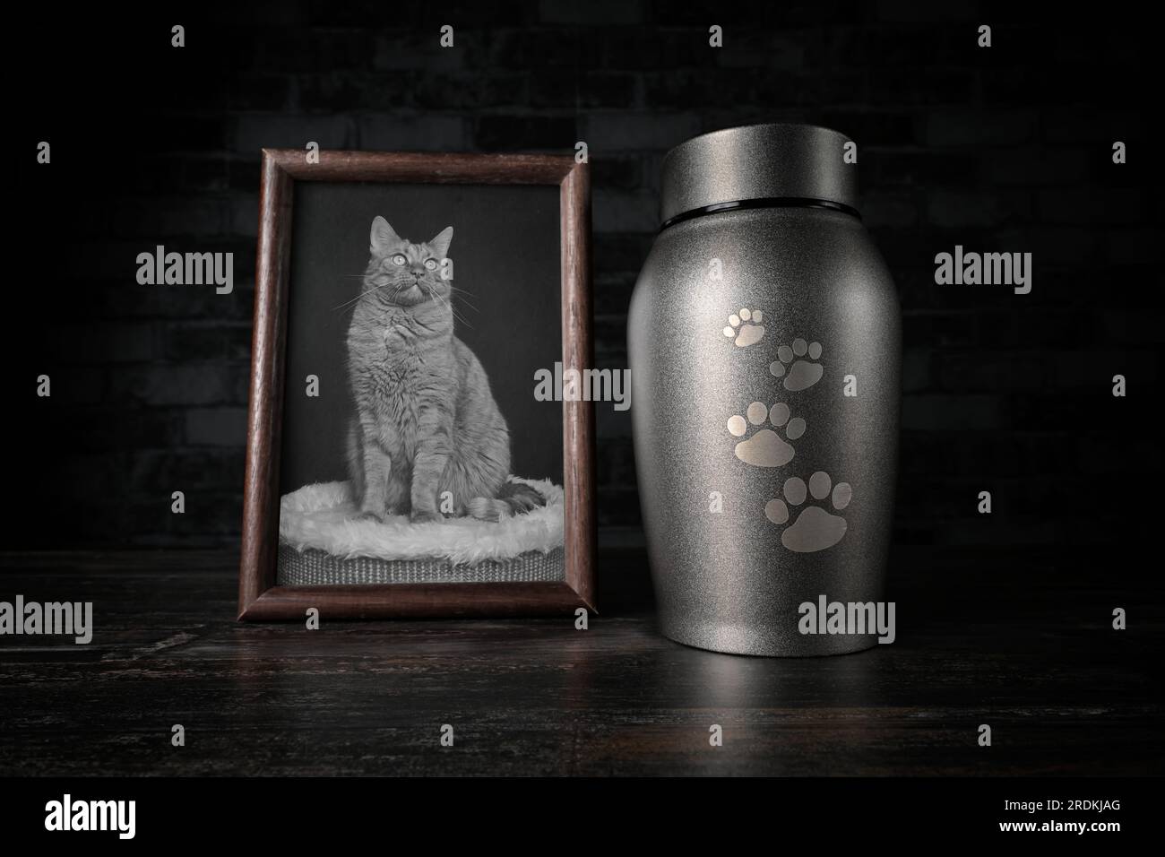 In remembrance of a pet. Decorative urn , next to a photograph of the pet. Stock Photo