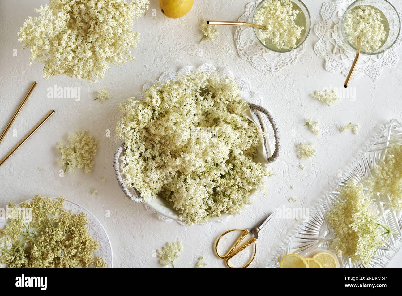 Fresh and dry elderberry flowers with glasses of lemonade with golden