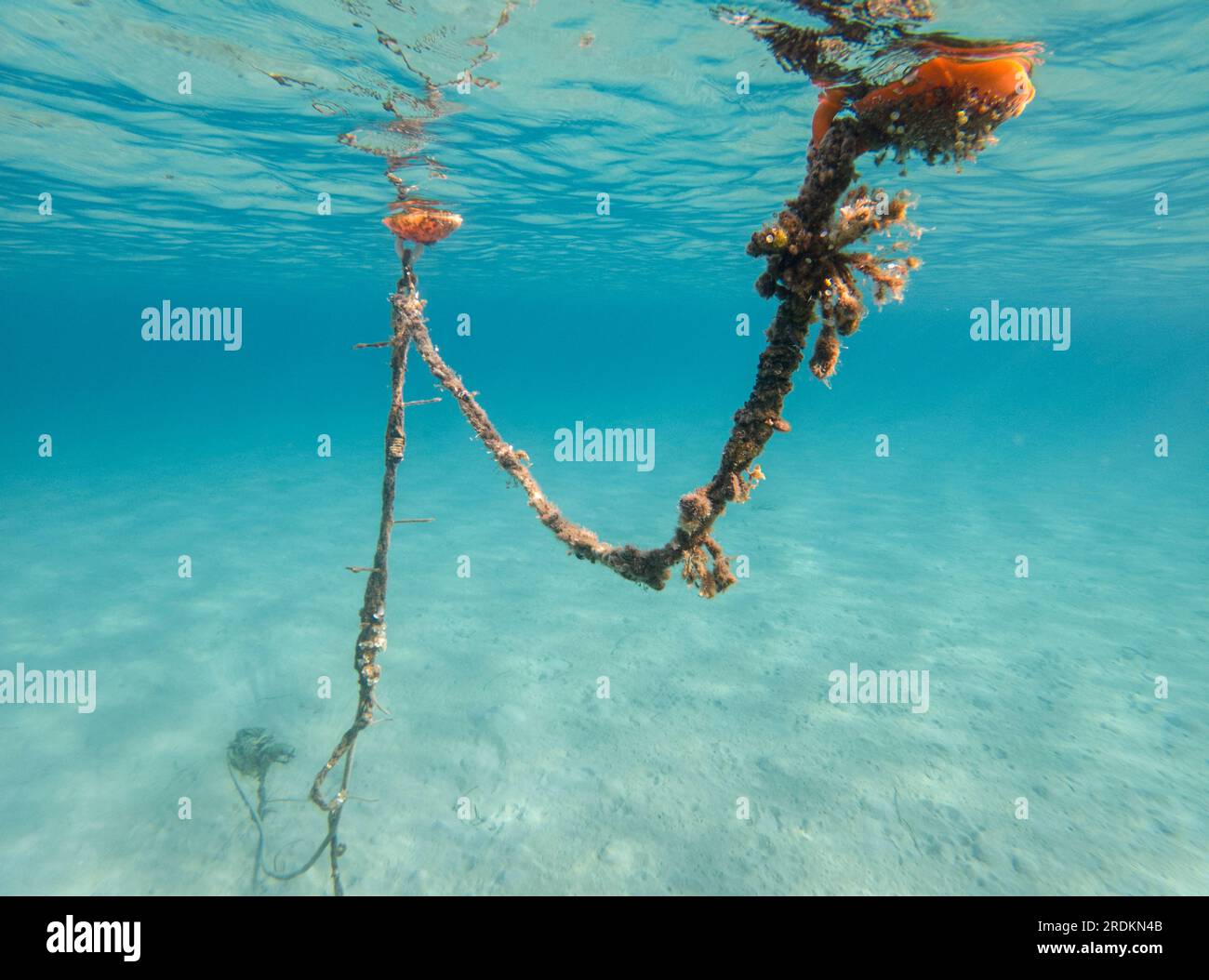 An old broken sea buoy overgrown with mollusks and underwater ...