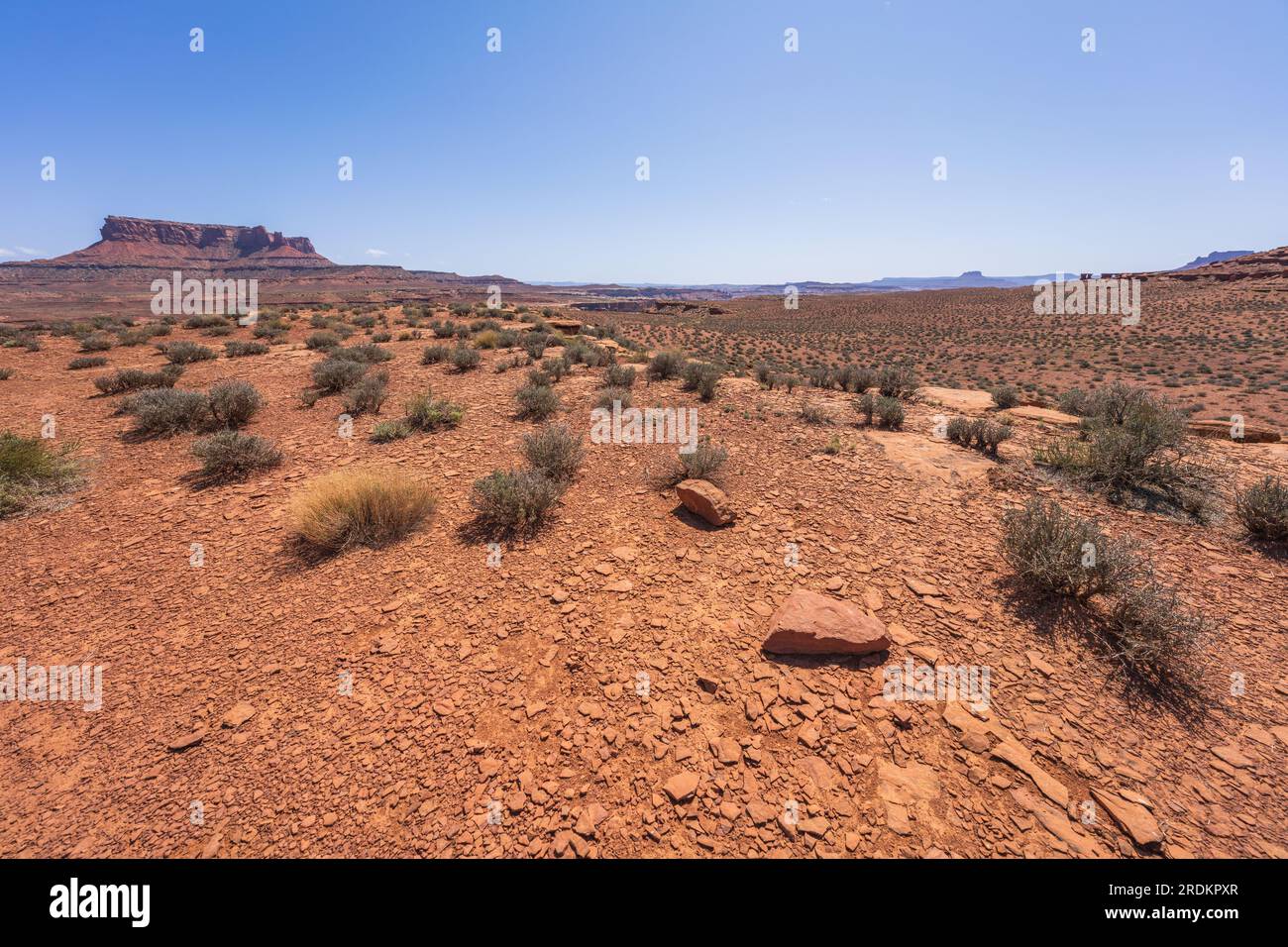 hiking the murphy trail loop in the island in the sky in canyonlands national park in the usa Stock Photo