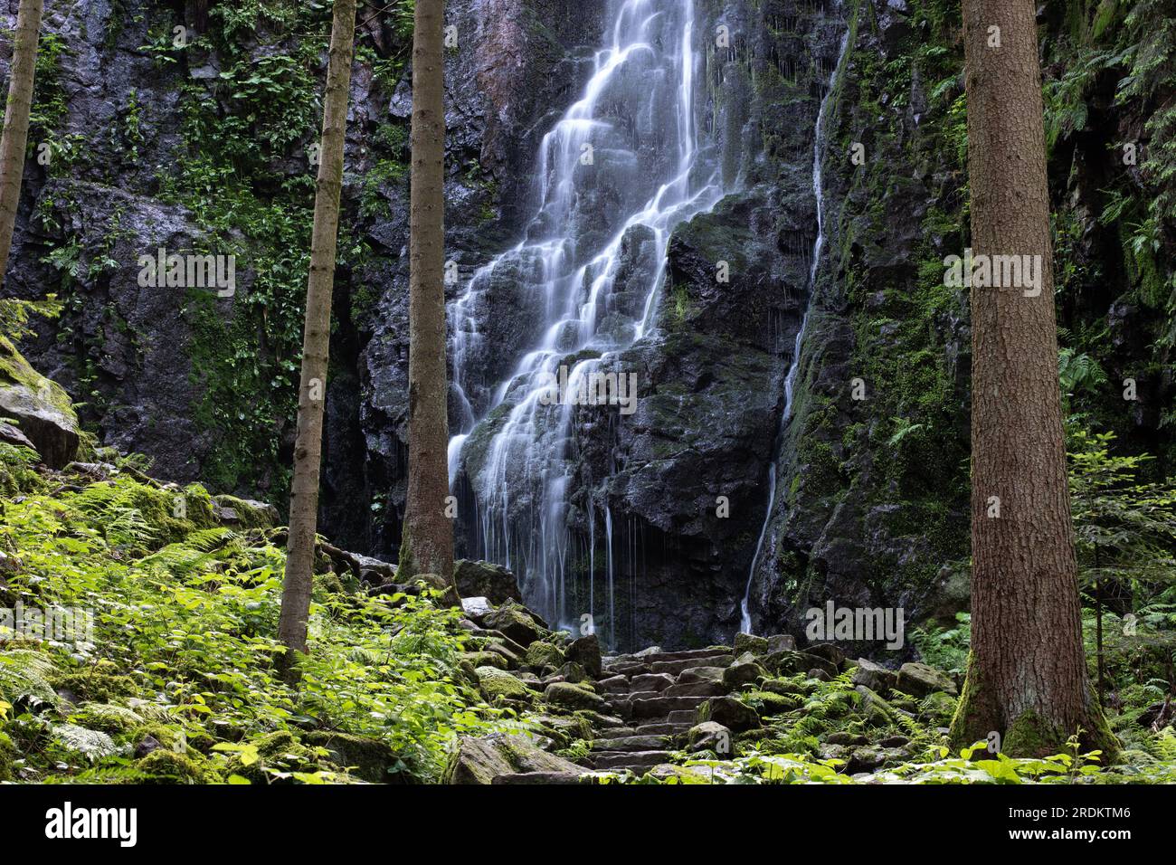 The Burgbach Waterfall in the coniferous forest falls over granite rocks into the valley near Bad Rippoldsau-Schapbach, landscape shot in nature, Blac Stock Photo