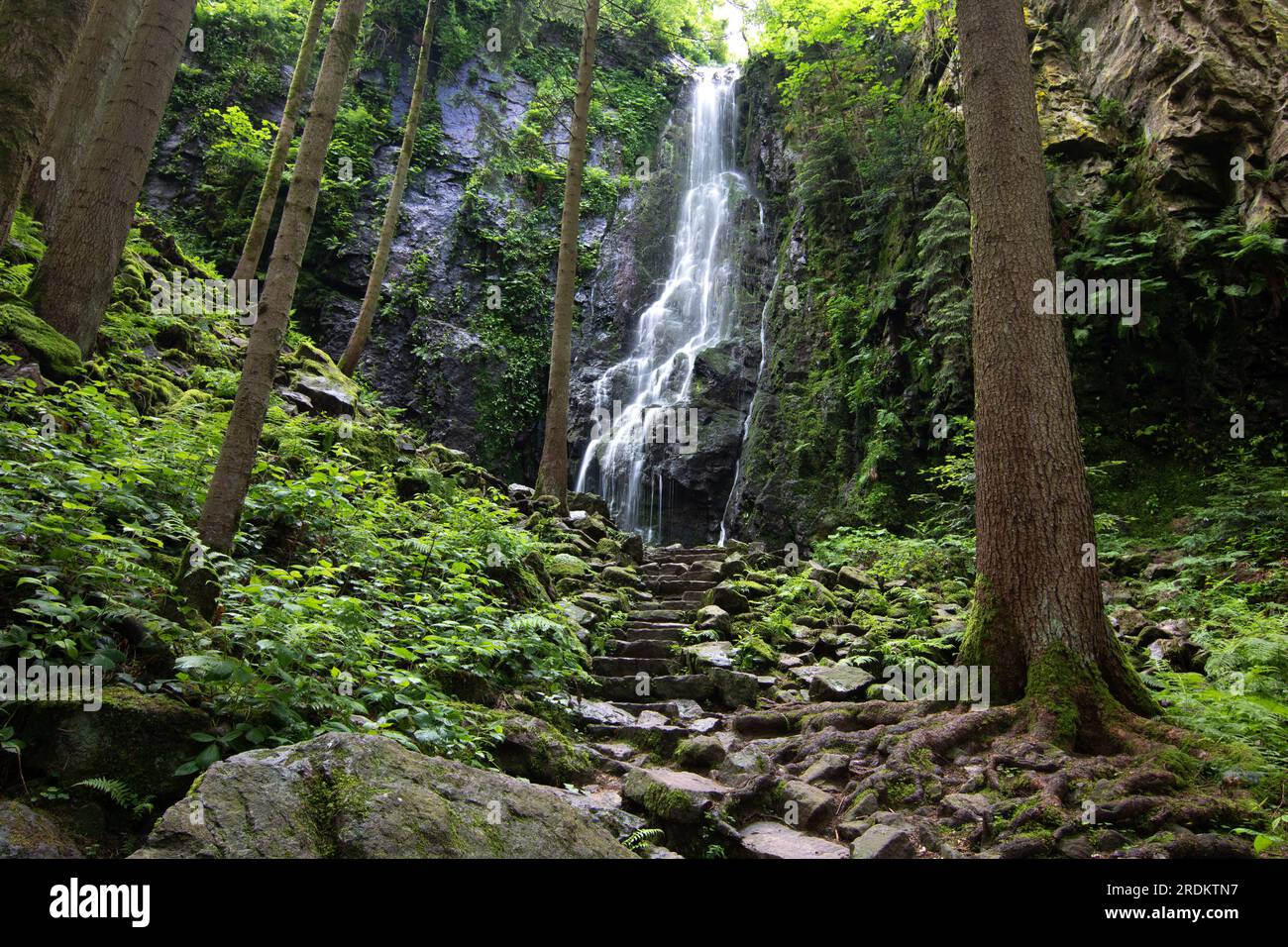 The Burgbach Waterfall in the coniferous forest falls over granite rocks into the valley near Bad Rippoldsau-Schapbach, landscape shot in nature, Blac Stock Photo