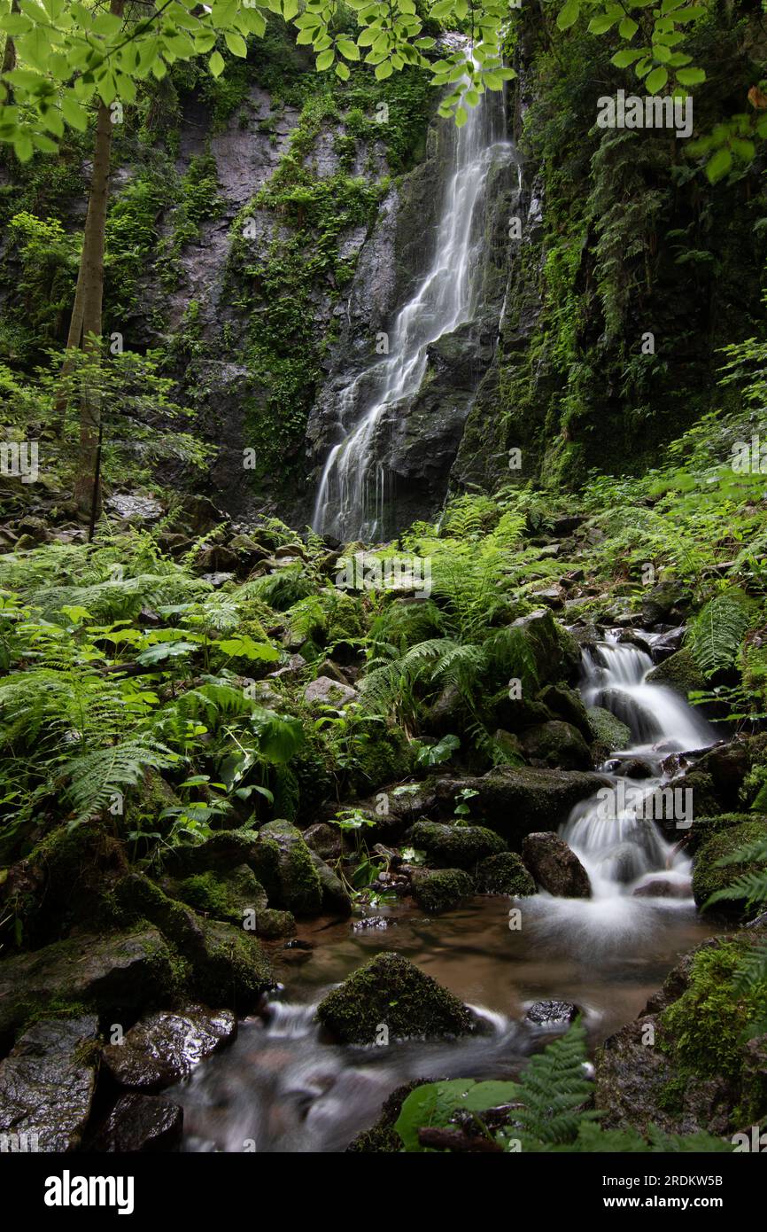 The Burgbach Waterfall in the coniferous forest falls over granite rocks into the valley near Bad Rippoldsau-Schapbach, landscape shot in nature, Blac Stock Photo