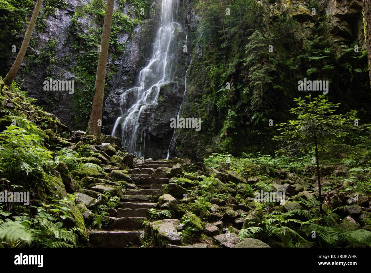 The Burgbach Waterfall in the coniferous forest falls over granite rocks into the valley near Bad Rippoldsau-Schapbach, landscape shot in nature, Blac Stock Photo