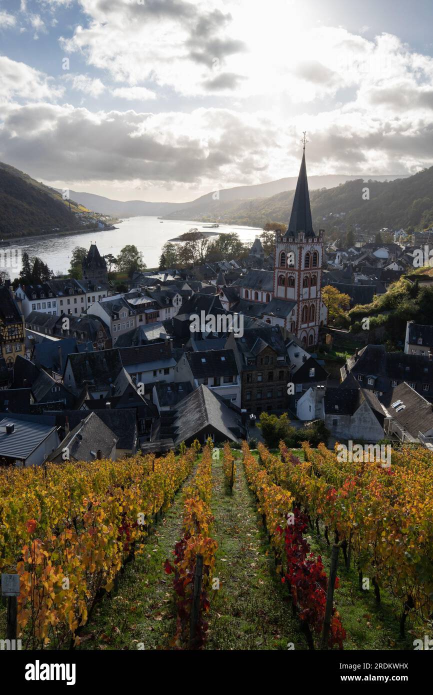 Bacharach antenna with panoramic view. Bacharach is a small town in the Rhine Valley in autumn in the vineyards in Rhineland-Palatinate Stock Photo