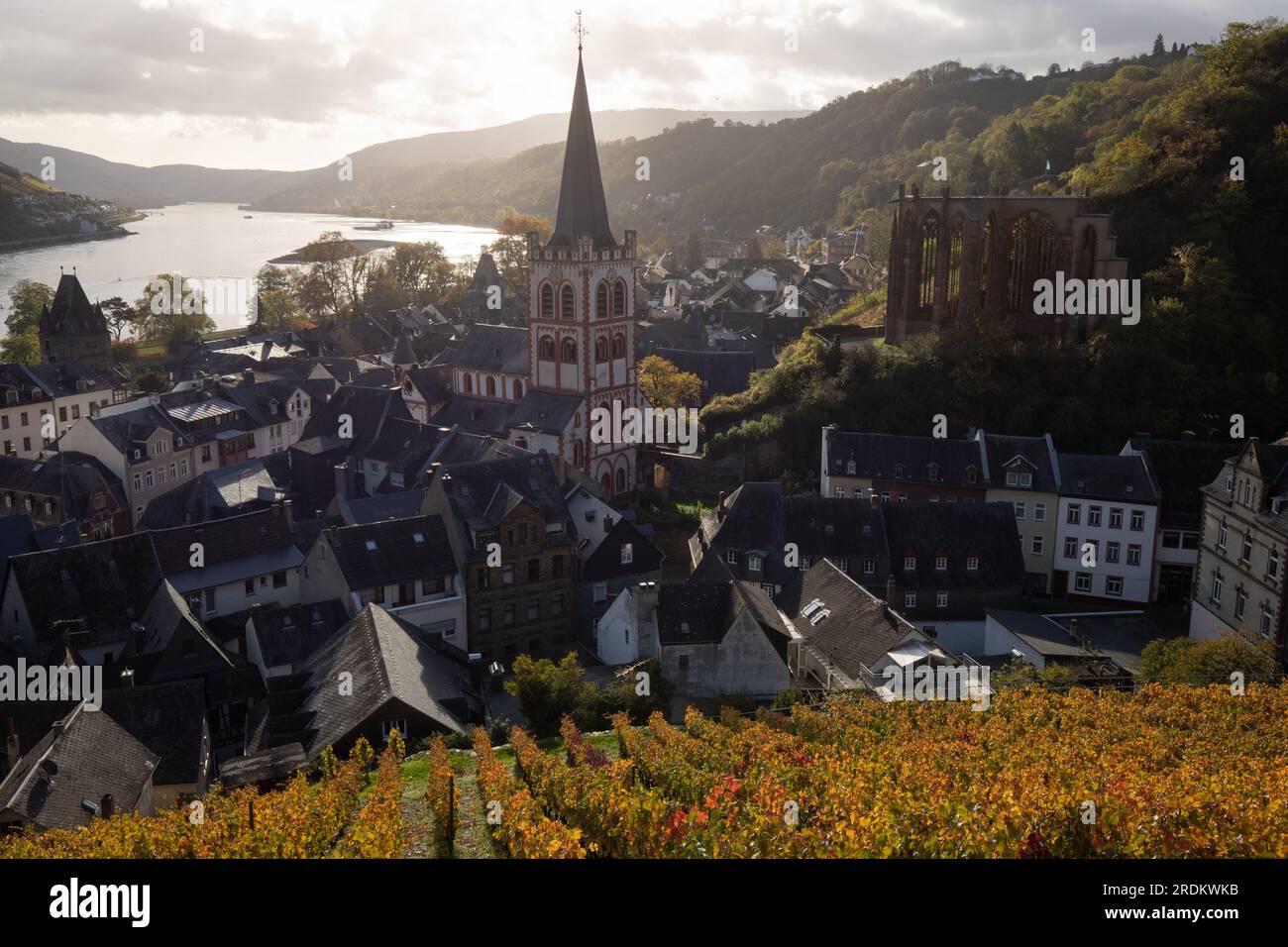 Bacharach antenna with panoramic view. Bacharach is a small town in the Rhine Valley in autumn in the vineyards in Rhineland-Palatinate Stock Photo