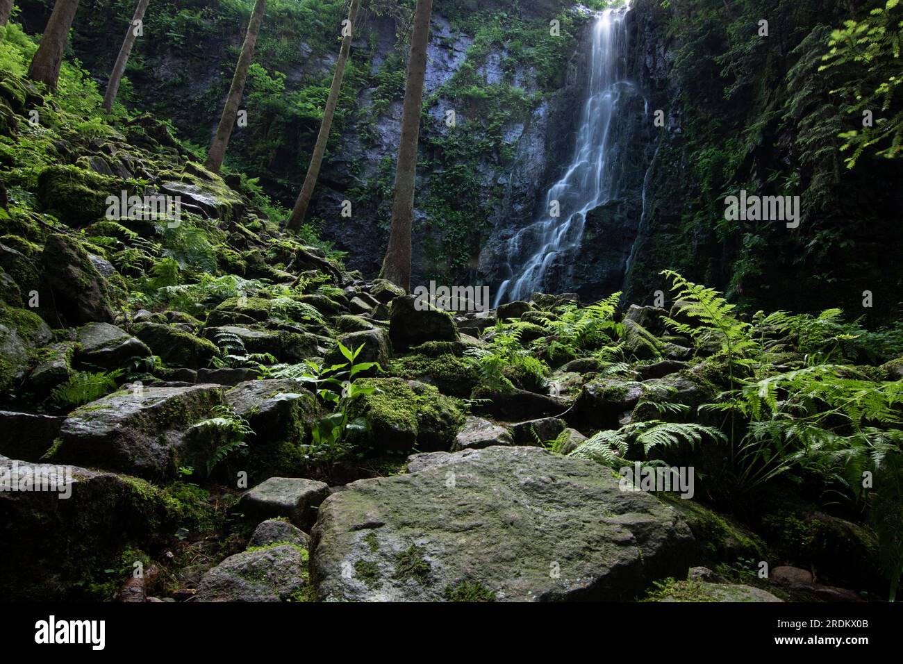 The Burgbach Waterfall in the coniferous forest falls over granite rocks into the valley near Bad Rippoldsau-Schapbach, landscape shot in nature, Blac Stock Photo