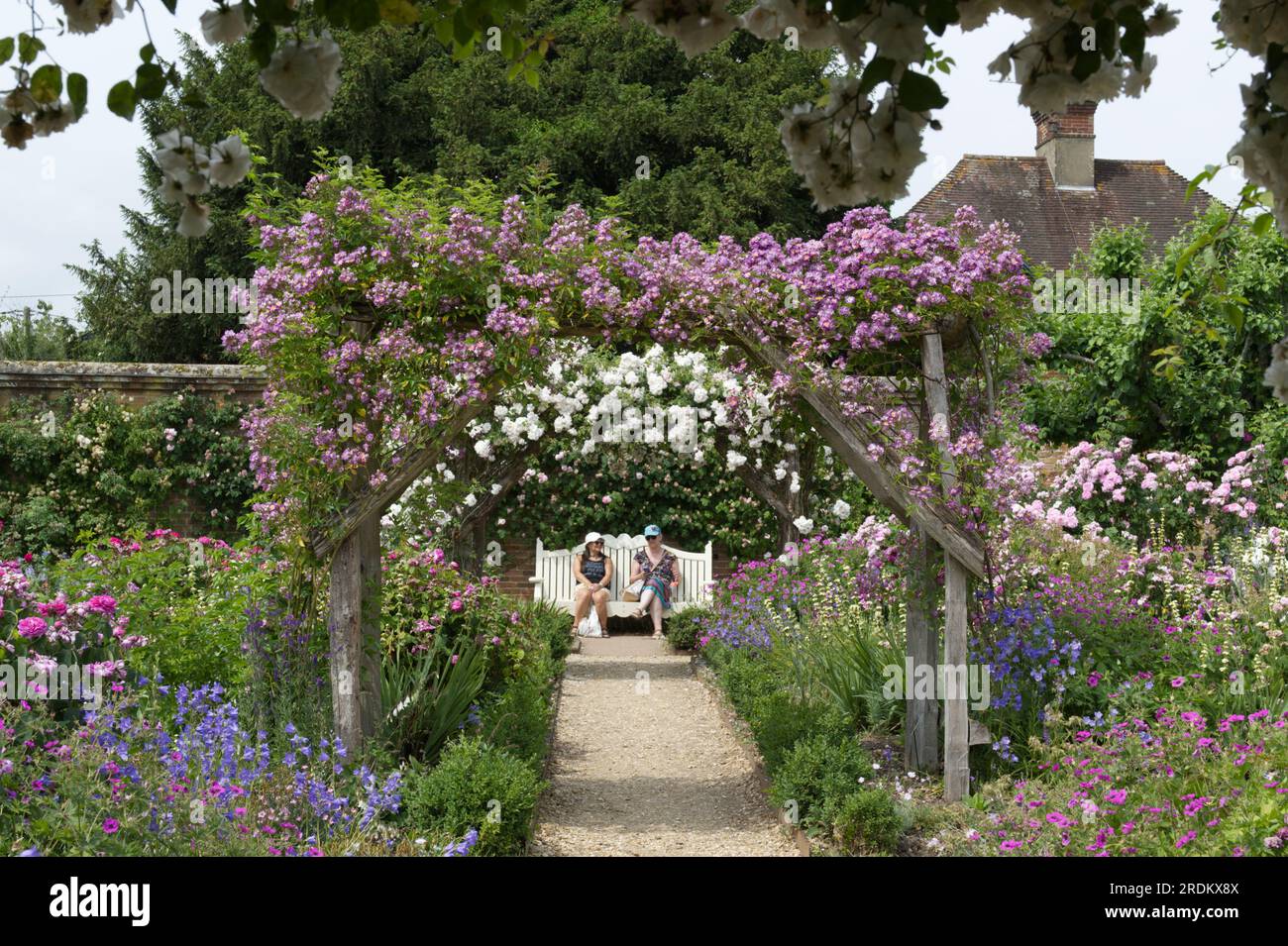 Two ladies on white Ltyens garden bench through Climbing roses Adelaide D'Orleans and Veilchenblau at Mottisfony Abbey garden UK June Stock Photo