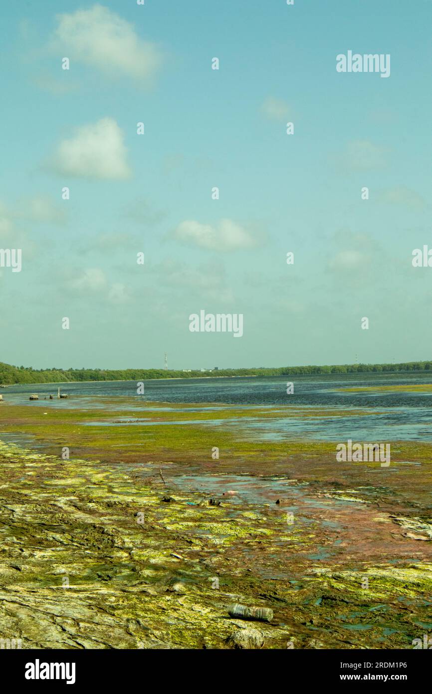 Seascape with blue sky and green sea. Nature background Stock Photo Alamy