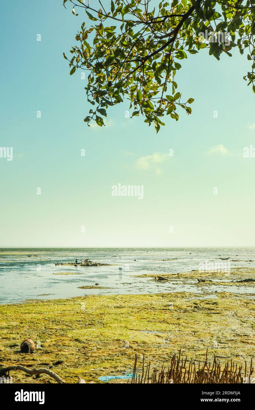 Seascape with blue sky and green sea. Nature background Stock Photo Alamy