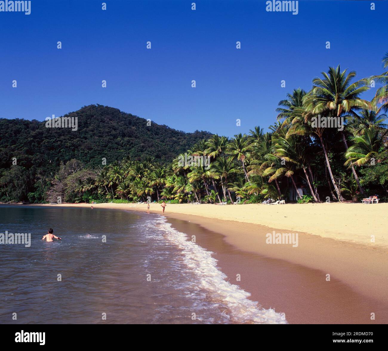 Australia. Queensland. Great Barrier Reef. Dunk Island. Beach. Stock Photo