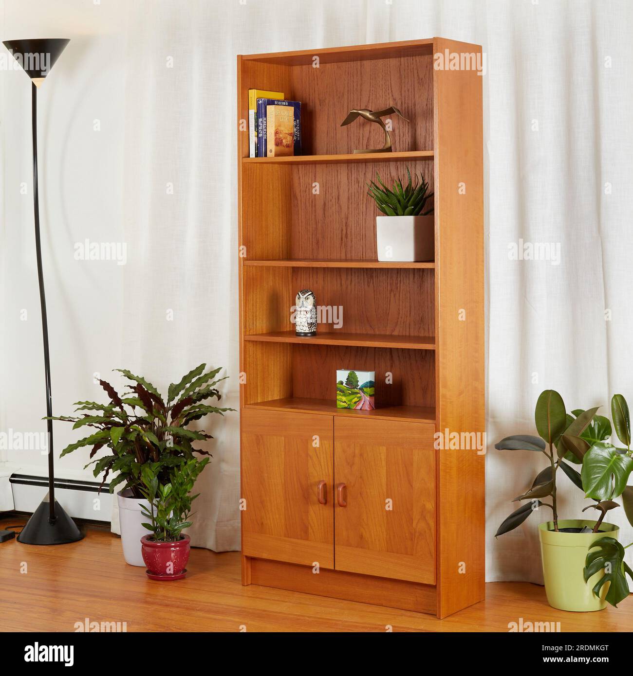 Classic MidCentury Modern bookshelf. Vintage sideboard wall