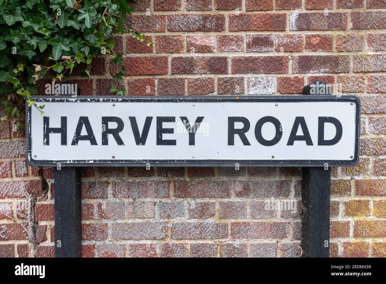 Harvey Road sign in the Charlotteville area of Guildford, named after William Harvey, the famous physician, Surrey, England, UK Stock Photo
