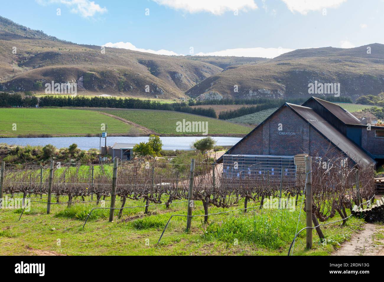 The wine tasting venue at Creation Wines, HemelenAarde Valley