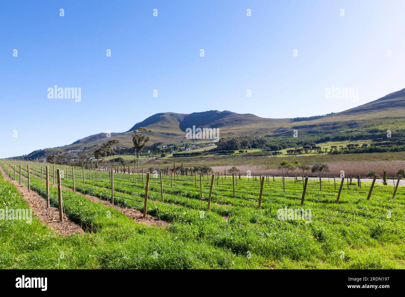 Hamilton russell hires stock photography and images Alamy