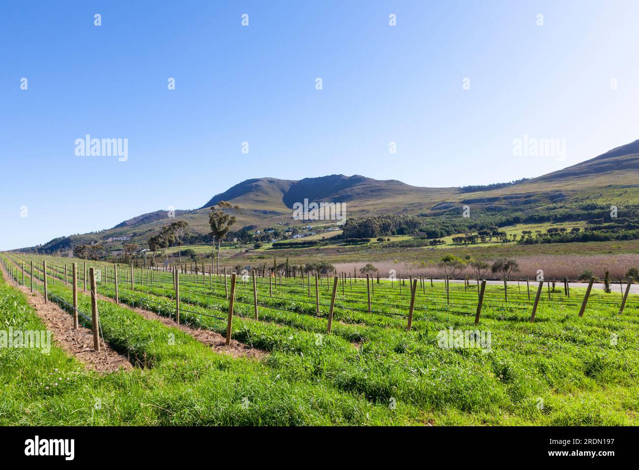 Hemel en aarde valley wine hi-res stock photography and images - Alamy