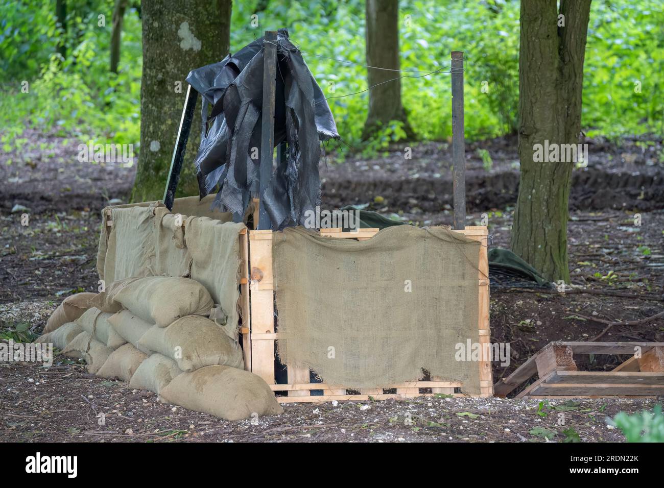 temporary woodland camp and defensive position made by British army infantry soldiers Stock Photo