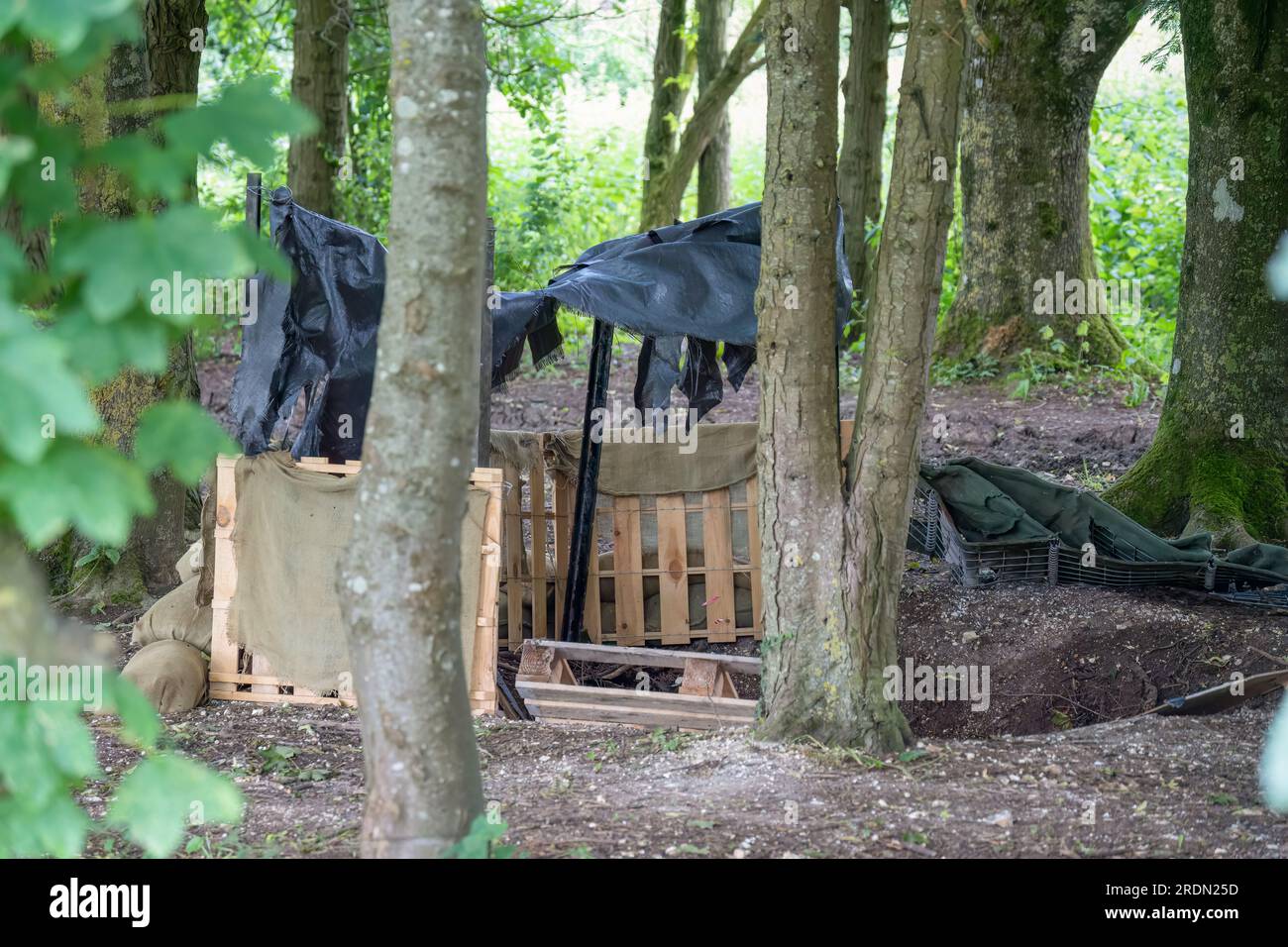 temporary woodland camp and defensive position made by British army infantry soldiers Stock Photo