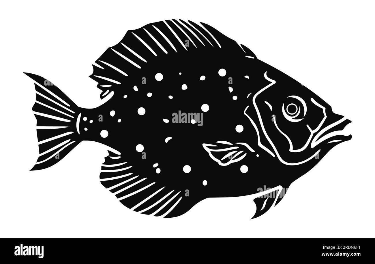 River Flounder Fish vector set, cute Flounder fish illustartion Stock
