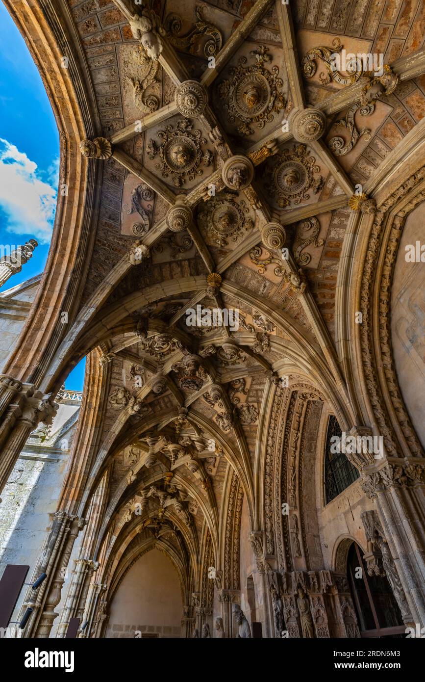 Late Gothic ceiling in the Cloister  of the Cathedral of Leon, Castile-Leon, Spain. The Santa María de Regla Cathedral de Leon. Castilla León, Spain. Stock Photo