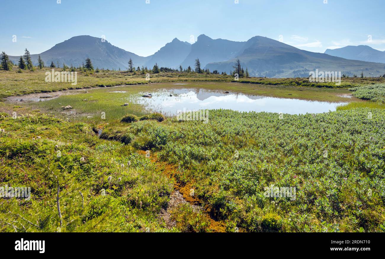 Mountain top pond at Sunshine Meadows in Banff National Park, Alberta, Canada Stock Photo Alamy