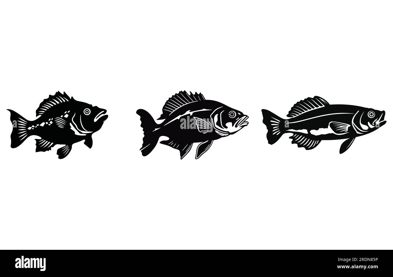 Shark catfish Stock Vector Images - Alamy