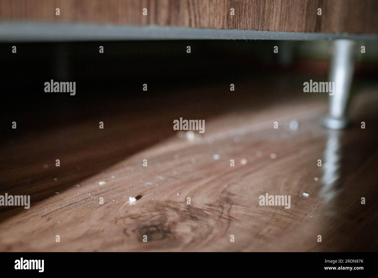 Dirt and dust under furniture. Householding concept Stock Photo Alamy