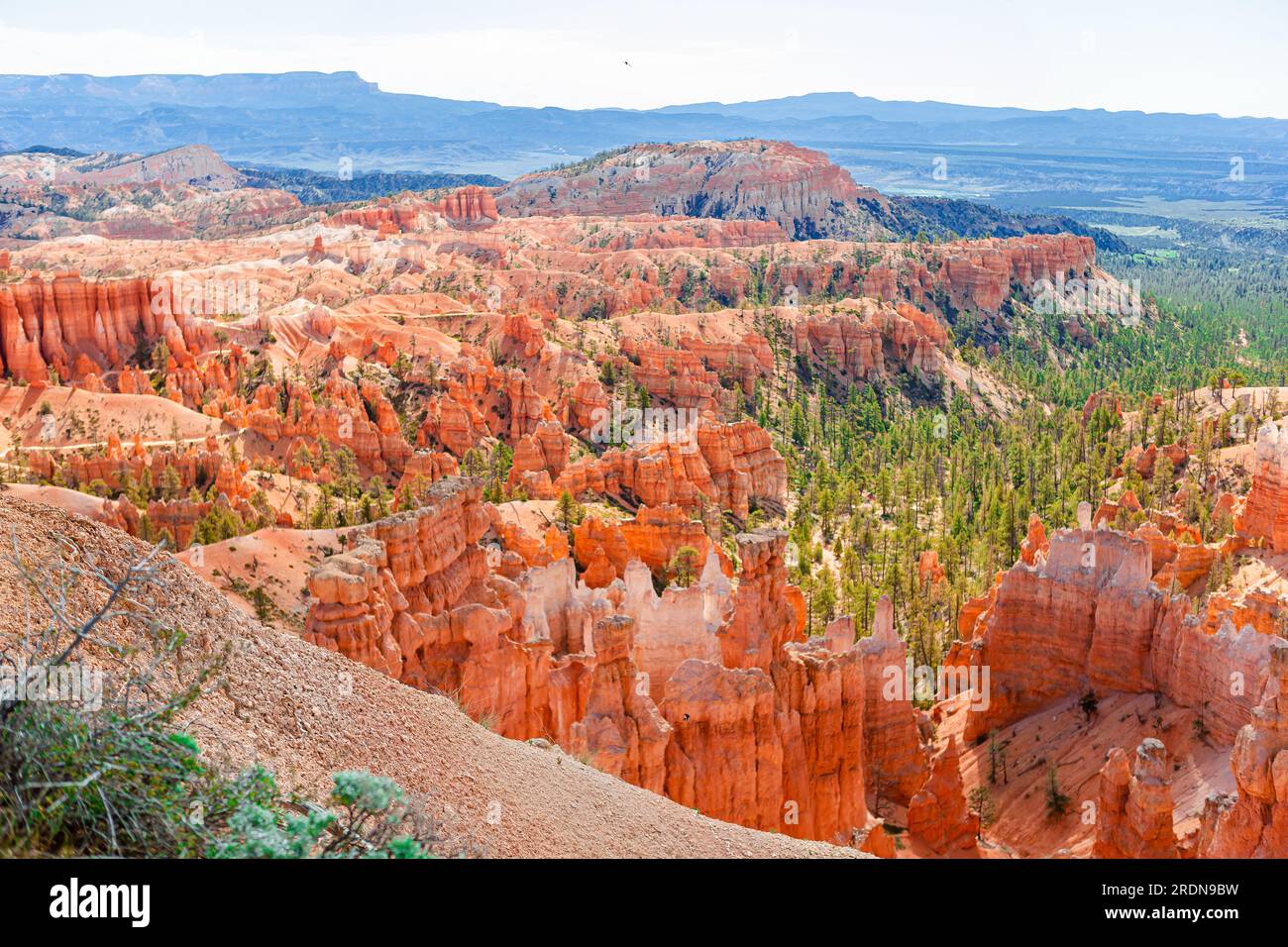 Bryce Canyon National Park landscape in Utah, United States. Stock Photo