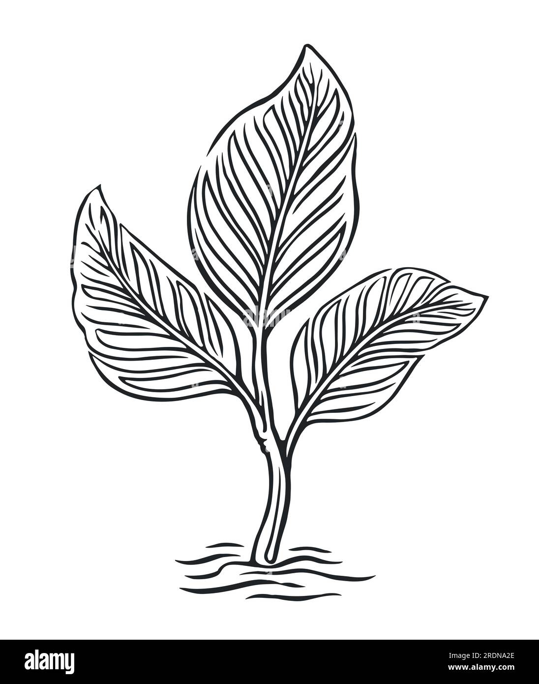 Sprout growing out from soil. Young plant sketch vector illustration