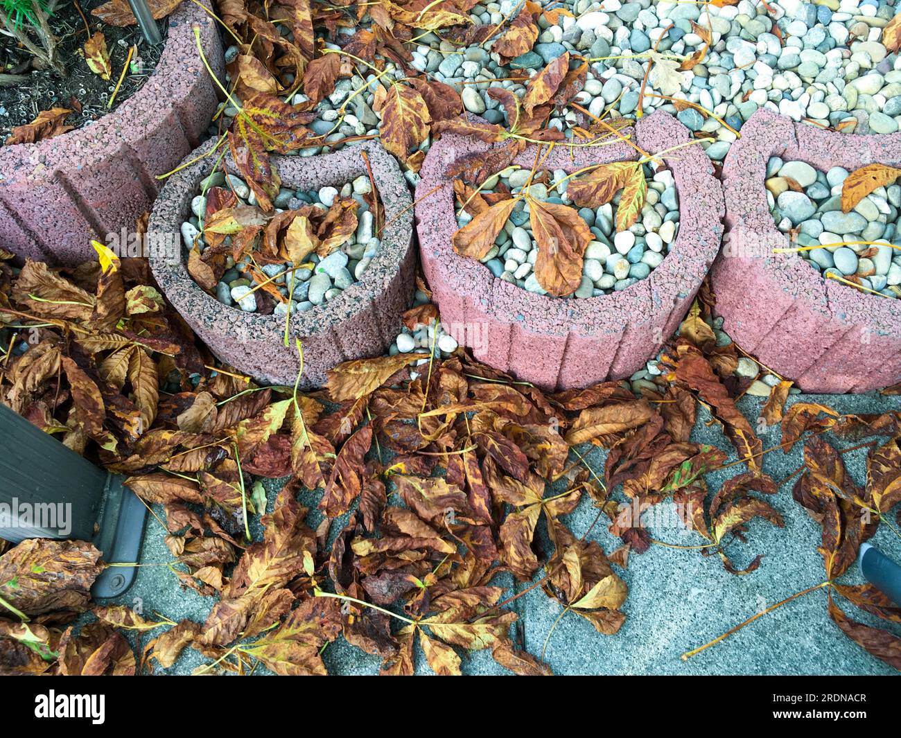 Herbstlaub auf dem Gehweg wird mit einem großen Besen zusammen gefegt Stock Photo