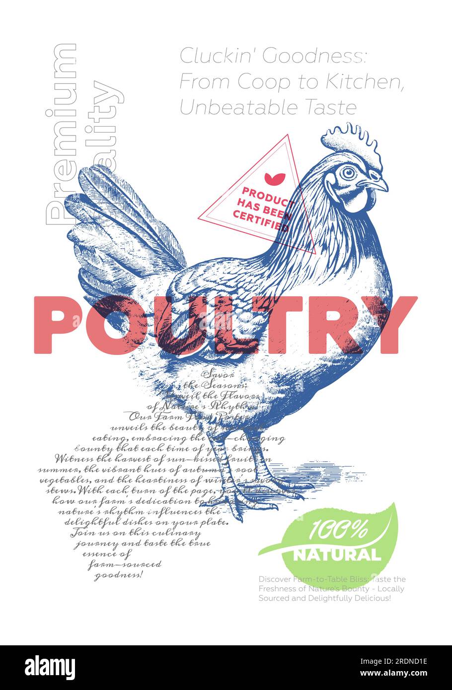 Poultry shop advertising poster with vintage chicken sketch. Butchery