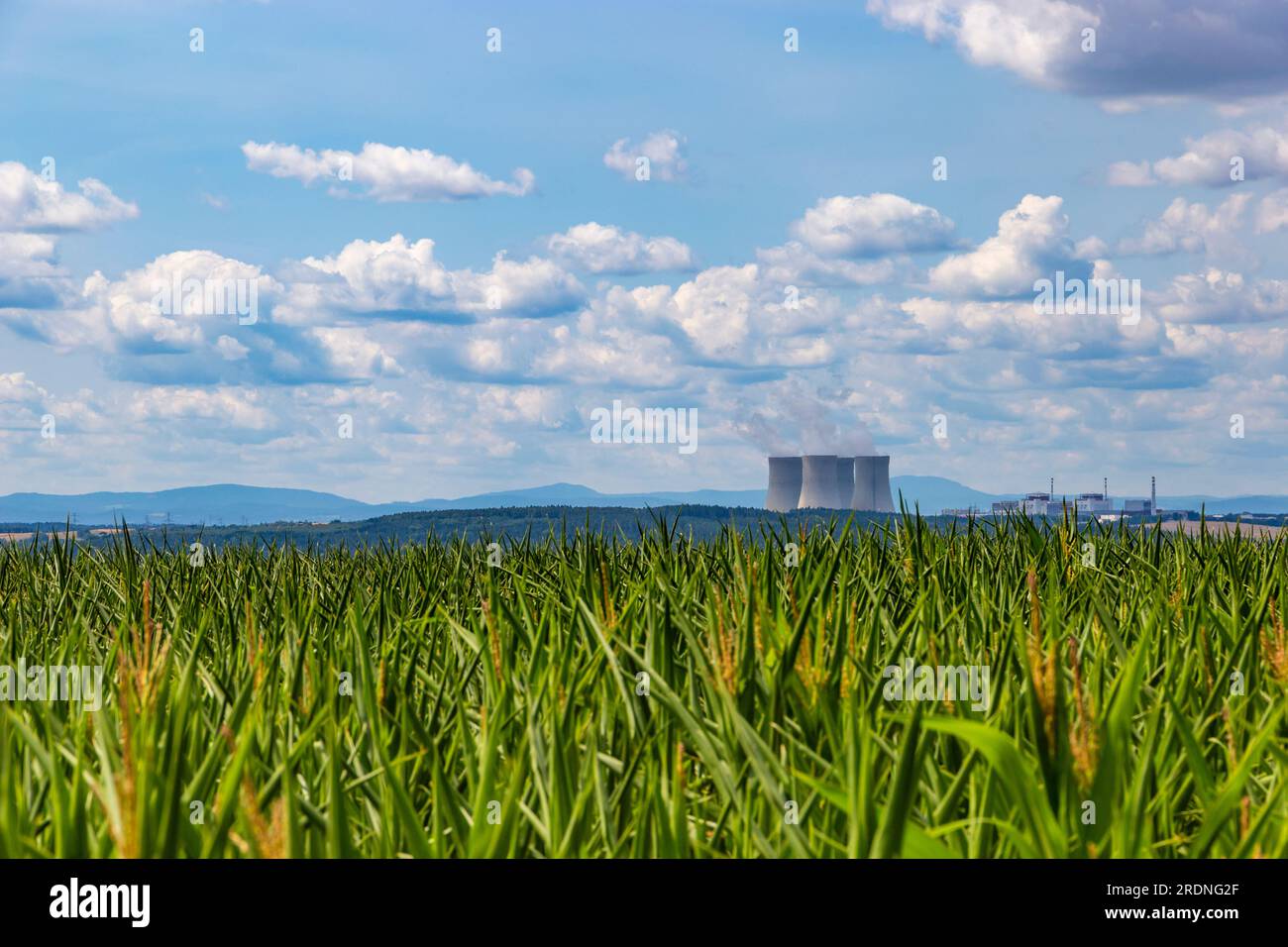 Corn field and Temelin nuclear power plant on the horizon Stock Photo ...