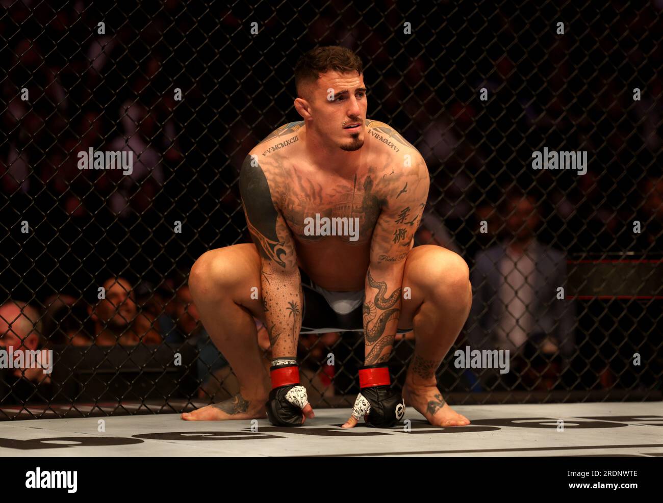 Tom aspinall 2023 hi-res stock photography and images - Alamy