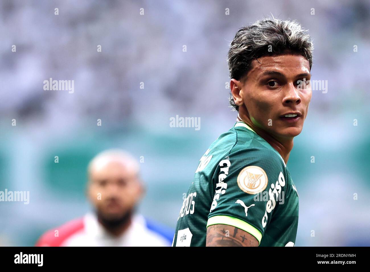 SportsCenterBR - VALENDO, TORCEDOR! Tem time maior que o Palmeiras no Brasil?  #ParabénsPalmeiras