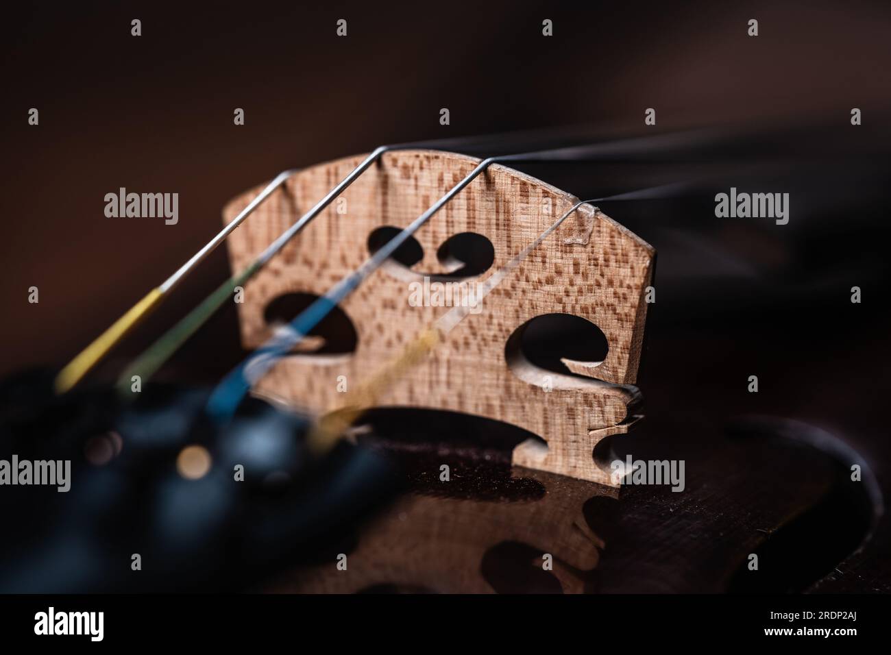 Detail of Violin bridge and chords Stock Photo Alamy