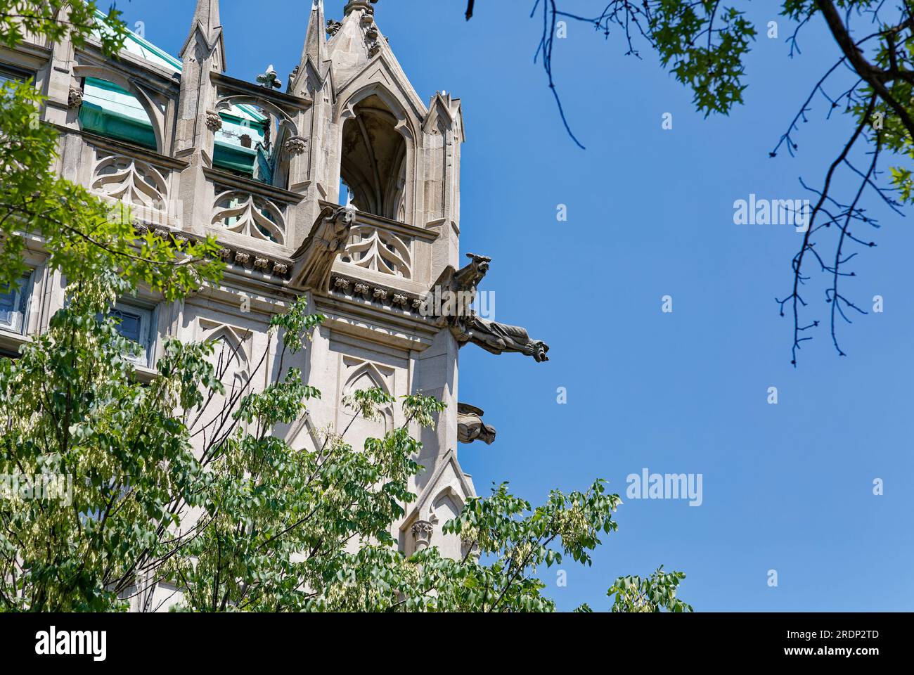 Fort Greene Historic District Detail of 300 Vanderbilt Avenue, Queen