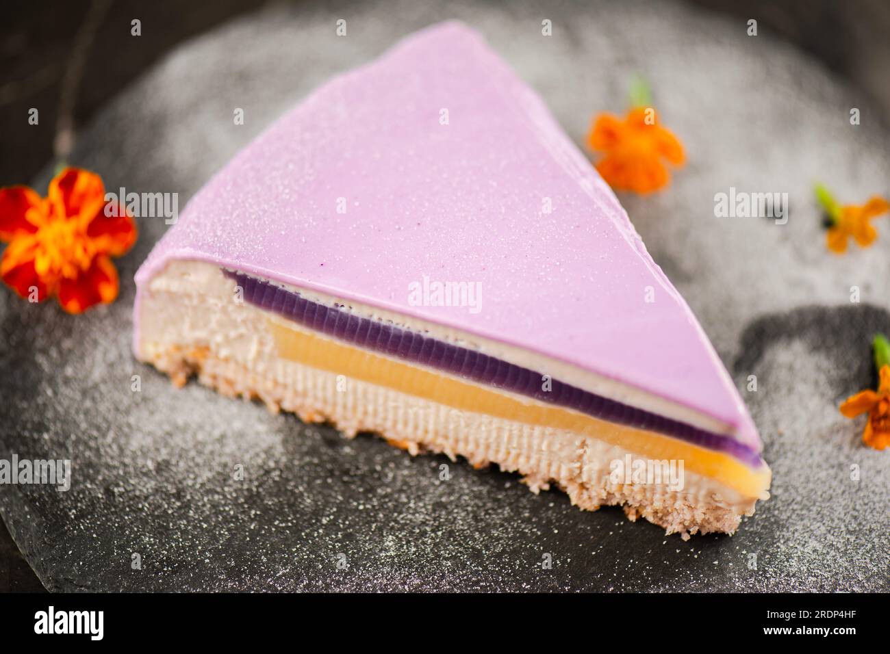 A slice of Gourmet Ube Entremet Cake also known as purple yam with layered sponge cake, ube jelly, evaporated milk jelly, and ube mousse, covered in a Stock Photo
