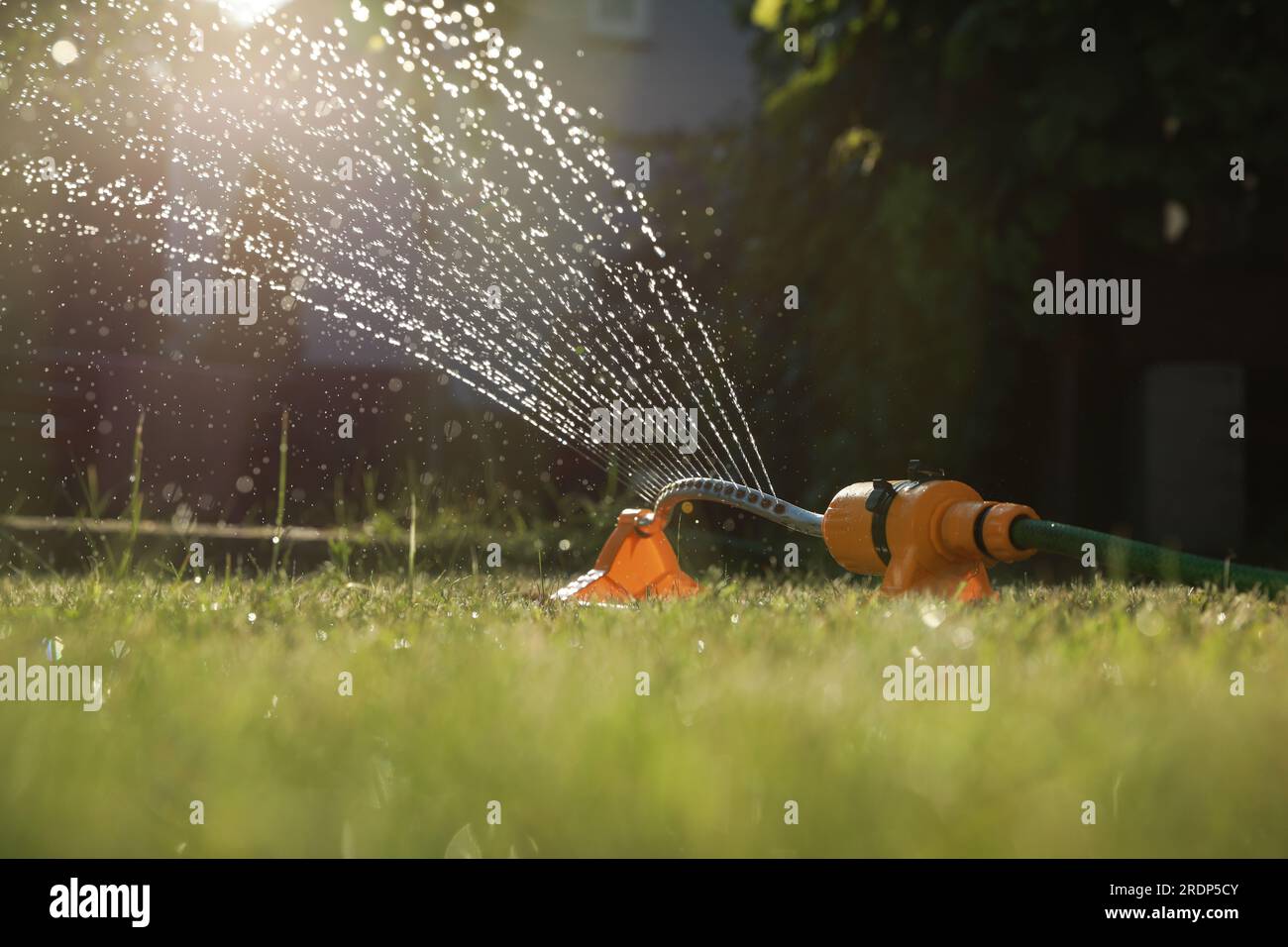 Automatic sprinkler watering green grass on sunny day in garden ...