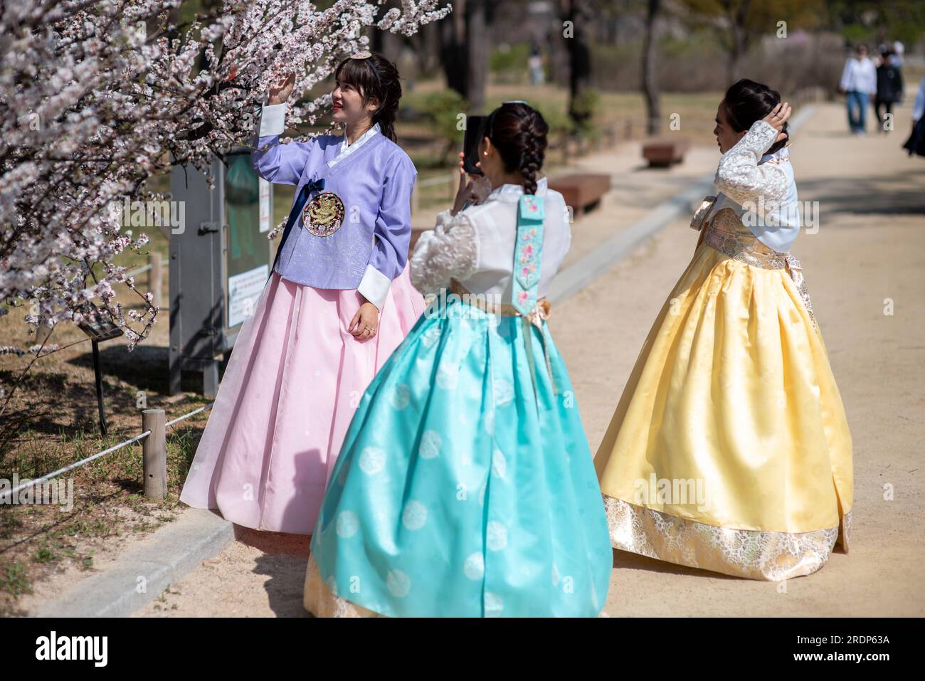 Pretty Korean girls wearing traditional Hanbok dress in Seoul South Korea on 2 April 2023 Stock Photo