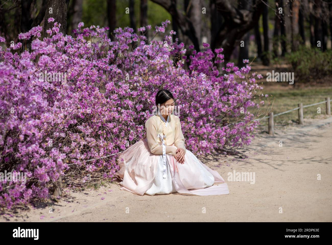 Pretty Korean girl wearing traditional Hanbok dress in Seoul South Korea on 2 April 2023 Stock Photo